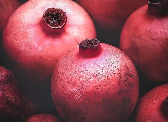 Czy pies może jeść granat? Bezpieczne owoce czy groźne dla zdrowia?