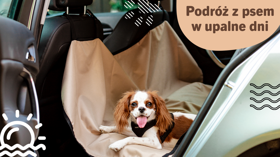 Jak zabezpieczyć psa przed upałami podczas wakacyjnych podróży?