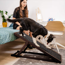 Załaduj obraz do przeglądarki galerii, Oryginalna rampa dla psa Mondi - regulowana wielkość
